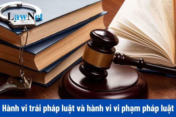 Mọi hành vi trái pháp luật đều là hành vi vi phạm pháp luật đúng không?