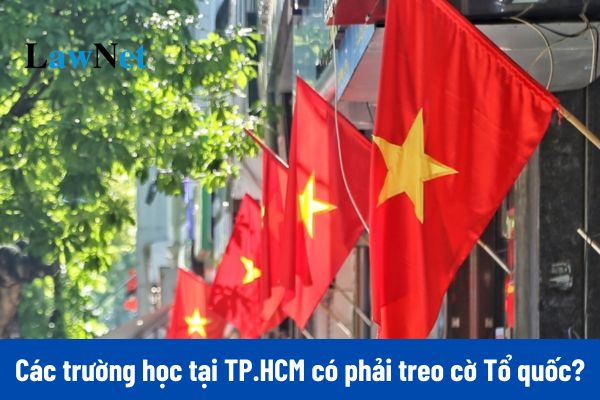 Các trường học tại TPHCM có phải treo cờ Tổ quốc vào ngày Tết Dương lịch 2025? 