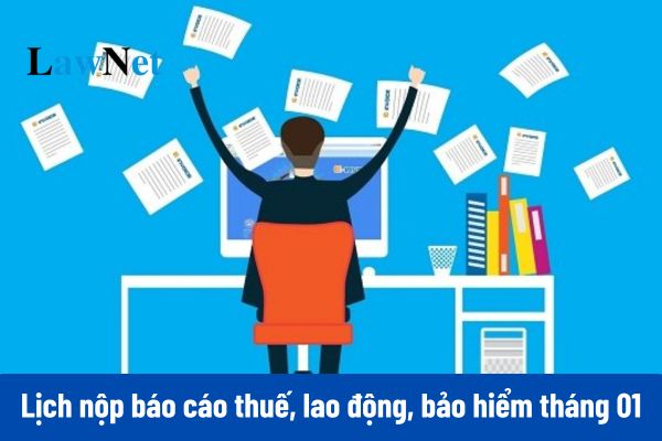 Lịch nộp báo cáo thuế, lao động, bảo hiểm tháng 01/2025?