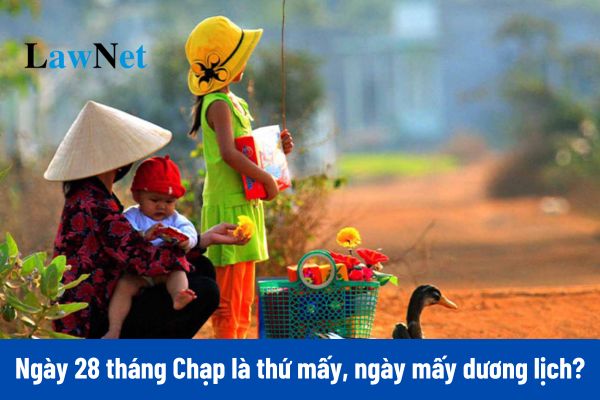 Ngày 28 tháng Chạp là thứ mấy, ngày mấy năm 2025? 28 tháng Chạp là 20 mấy Tết? 