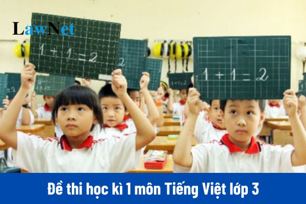 Đề thi học kì 1 môn Tiếng Việt lớp 3 đi kèm bộ đáp án mới nhất 2024?