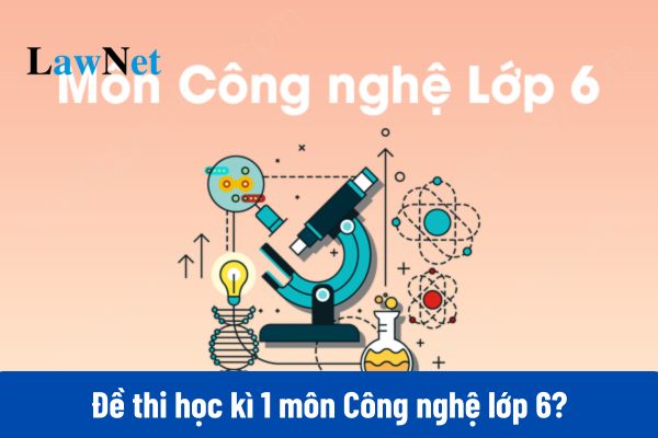 Tổng hợp đề thi học kì 1 môn Công nghệ lớp 6 đi kèm đáp án mới nhất?