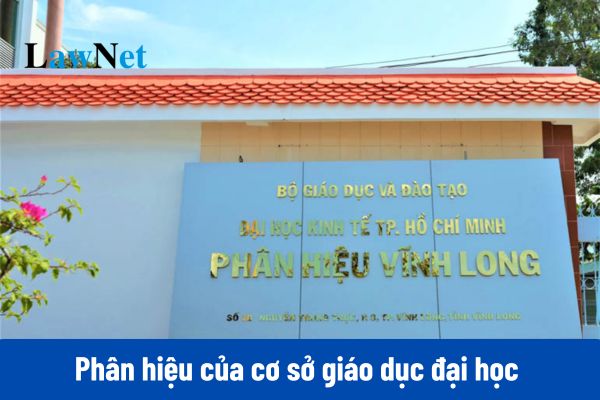 Điều kiện cho phép phân hiệu của cơ sở giáo dục đại học hoạt động đào tạo như thế nào?