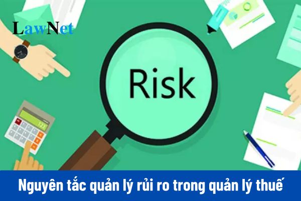 08 nguyên tắc quản lý rủi ro trong quản lý thuế ra sao?