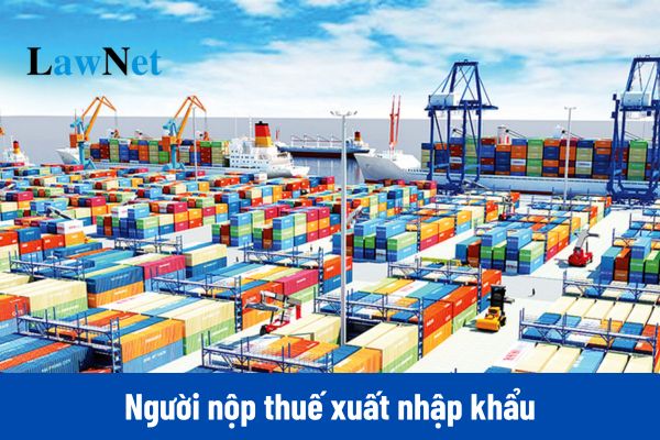 Người nộp thuế xuất nhập khẩu có phải là chủ hàng hóa xuất khẩu, nhập khẩu không?