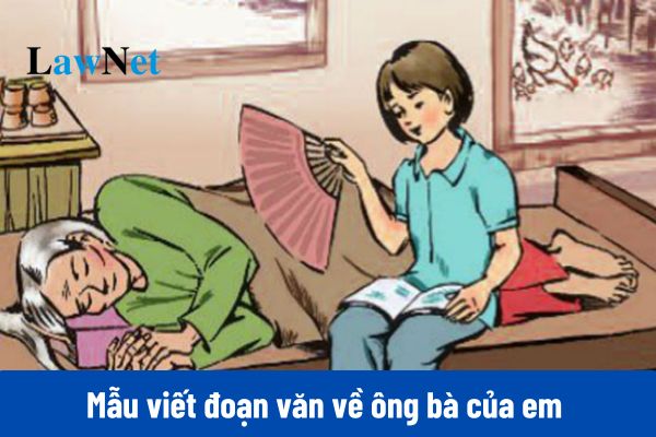 Tổng hợp các mẫu viết đoạn văn về ông bà của em môn Tiếng Việt lớp 2 ngắn gọn, điểm cao?