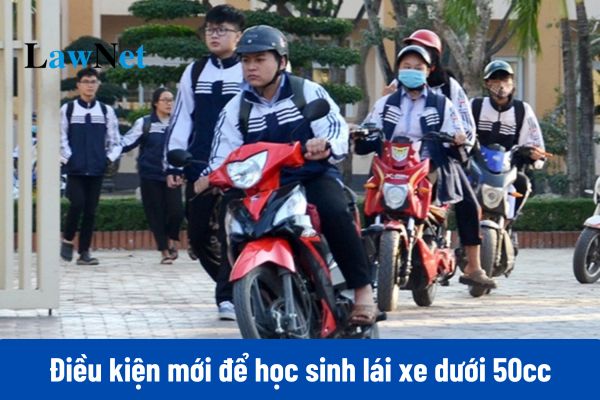 Điều kiện mới để học sinh lái xe dưới 50cc từ 01/01/2025?