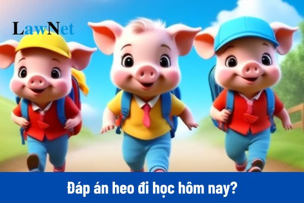 Đáp án heo đi học hôm nay?