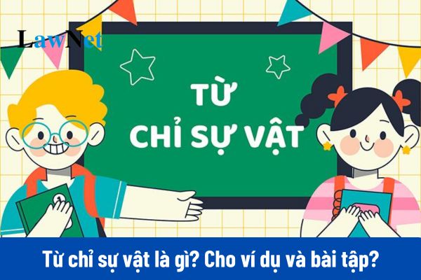 Từ chỉ sự vật là gì? Cho ví dụ và những bài bác tập dượt xác lập kể từ chỉ sự vật?