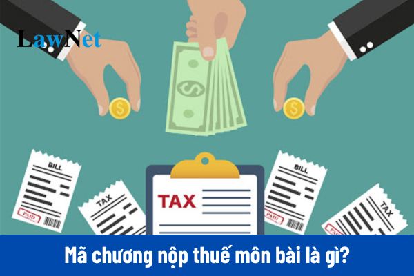 Mã chương nộp thuế môn bài 2025 như thế nào?