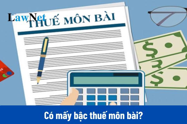 Có mấy bậc thuế môn bài năm 2025?