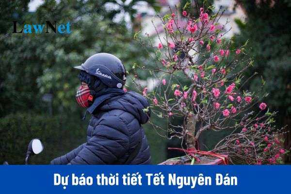 Dự báo thời tiết Tết Nguyên Đán 2025?