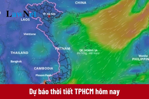 Dự báo thời tiết TPHCM hôm nay và Tết Nguyên đán 2025?