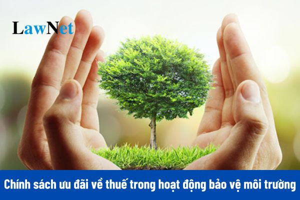 Các chính sách ưu đãi về thuế trong hoạt động bảo vệ môi trường như thế nào?