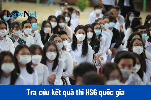 Link tra cứu kết quả HSG 2024 2025 63 tỉnh?