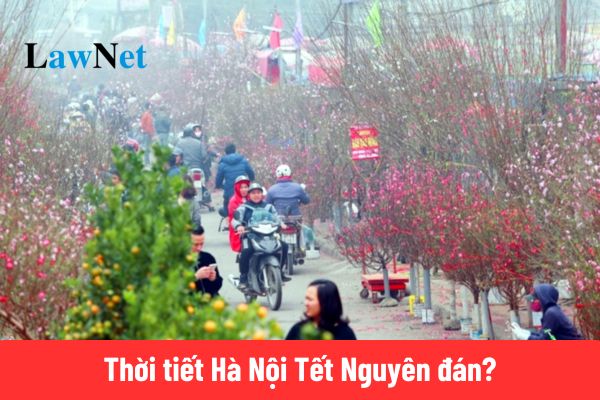 Thời tiết Hà nội Tết Nguyên đán 2025?