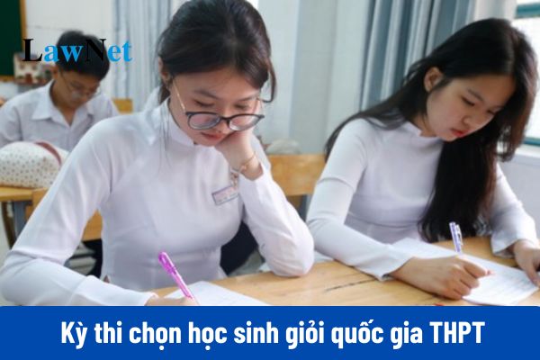 Chi tiết đáp án đề thi Toán Kỳ thi chọn HSG quốc gia THPT năm 2024 2025?