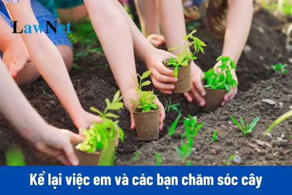 8+ viết 3-5 câu kể lại việc em và các bạn chăm sóc cây lớp 2?