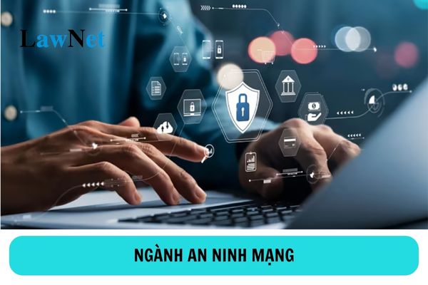 Học cao đẳng ngành an ninh mạng có thể làm việc tại các vị trí nào?