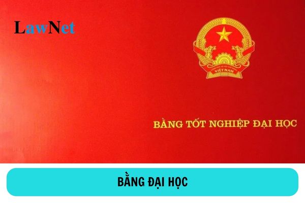 Bằng đại học bị thu hồi khi nào? Bằng đại học do ai cấp?