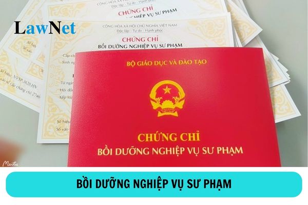 Kiến thức bắt buộc tối thiểu khi bồi dưỡng nghiệp vụ sư phạm giảng viên đại học là bao nhiêu tín chỉ?