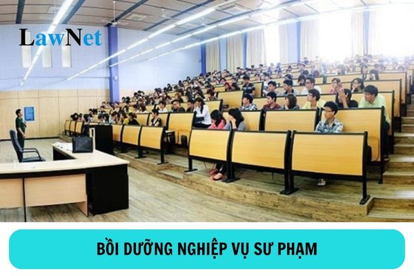 Mục tiêu của việc bồi dưỡng nghiệp vụ sư phạm cho giảng viên trường đại học là gì?