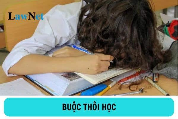 Sinh viên bị cảnh báo học tập bao nhiêu lần thì buộc thôi học?