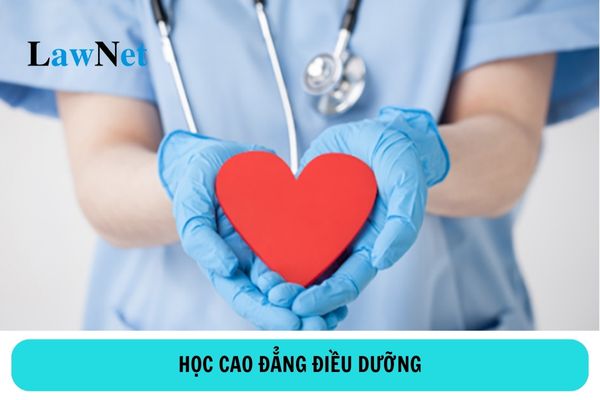 Học cao đẳng điều dưỡng ra trường làm gì?