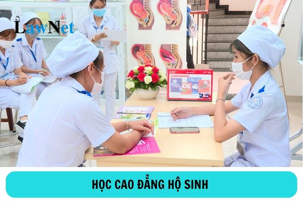 Học cao đẳng hộ sinh ra trường làm gì?