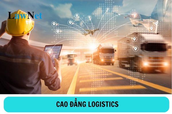 Học cao đẳng logistics sau khi ra trường có thể làm việc tại các vị trí nào?