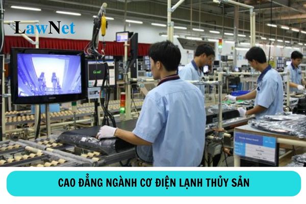 Học cao đẳng ngành cơ điện lạnh thủy sản ra trường làm gì?