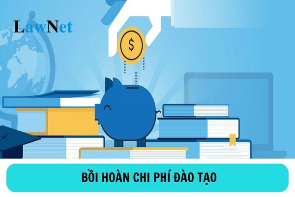 Khi nào du học sinh ngân sách nhà nước phải bồi hoàn chi phí đào tạo?