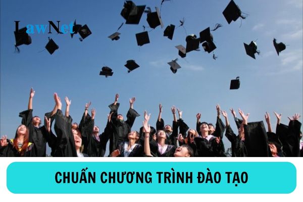 Quy trình xây dựng chuẩn chương trình đào tạo các trình độ giáo dục đại học như thế nào?