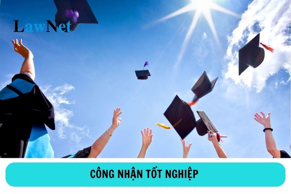 Sinh viên đại học sử dụng chứng chỉ giả để công nhận tốt nghiệp bị xử lý kỷ luật ra sao?