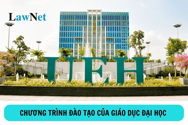 Chương trình đào tạo của giáo dục đại học được quy định như thế nào?