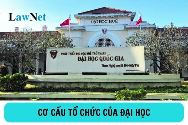 Đại học có cơ cấu tổ chức như thế nào? Nhiệm vụ và quyền hạn của đại học như thế nào?