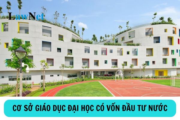 Cơ sở giáo dục đại học có vốn đầu tư nước ngoài có nhiệm vụ và quyền hạn gì?