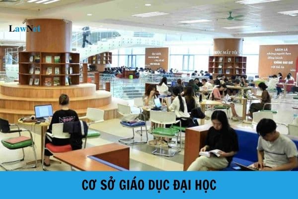 Có mấy loại cơ sở giáo dục đại học? Các loại hình của cơ sở giáo dục đại học?