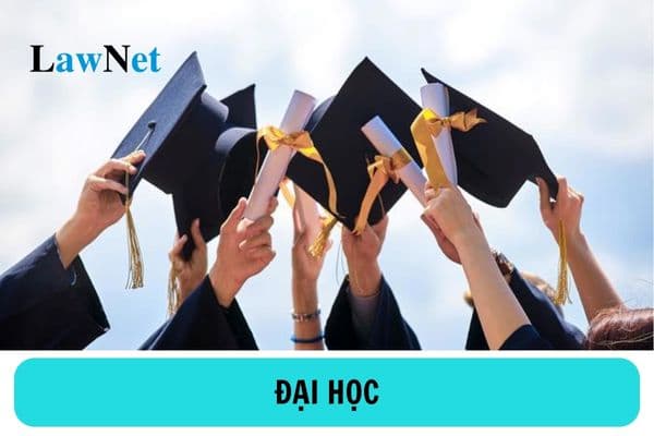 Đại học là gì?  Cơ cấu tổ chức của Đại học có chức danh hiệu trưởng không?