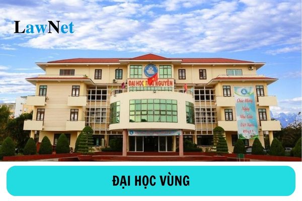 Đại học vùng có trường đại học thành viên không? Đại học vùng có các đơn vị thành viên nào?