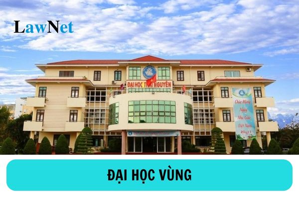 Hội đồng đại học vùng có trách nhiệm và quyền hạn gì?