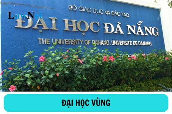 Đại học vùng là gì? Cơ cấu tổ chức của đại học vùng như thế nào?