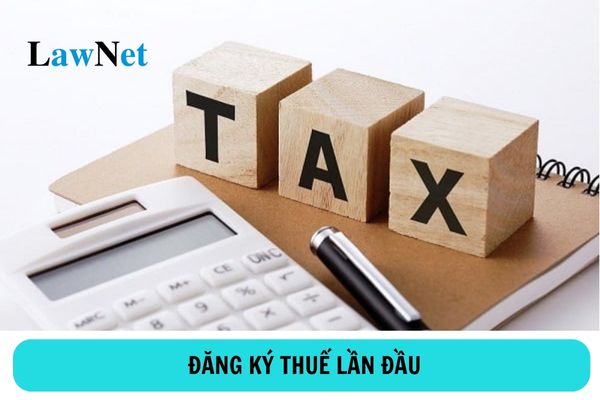 Doanh nghiệp mới thành lập phải đăng ký thuế lần đầu trong thời hạn bao nhiêu ngày?