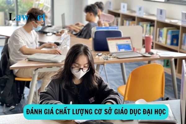 Đánh giá chất lượng cơ sở giáo dục đại học là gì?