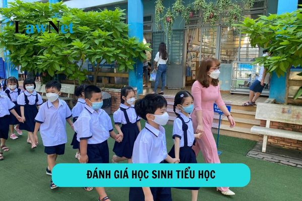 Thế nào là đánh giá học sinh tiểu học? Mục đích đánh giá học sinh tiểu học là gì?