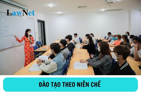 Đào tạo theo niên chế trong đào tạo trình độ cao đẳng là gì? 