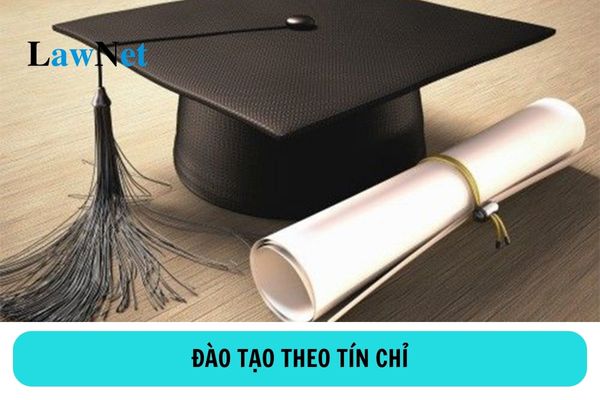 Đào tạo theo tín chỉ là gì? Sinh viên đại học phải học tối thiểu bao nhiêu tín chỉ?