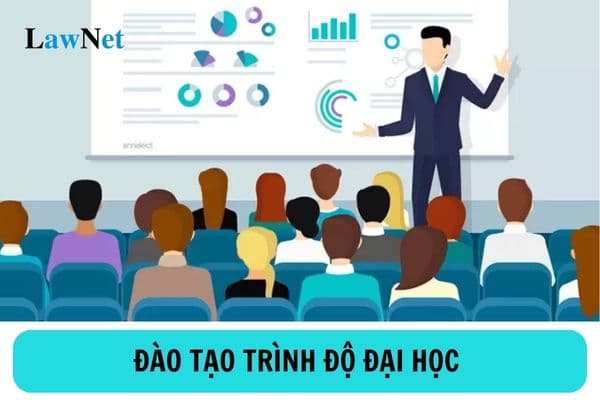 Có các hình thức đào tạo trình độ đại học nào? Phương thức tổ chức đào tạo trình độ đại học gồm các phương thức nào?