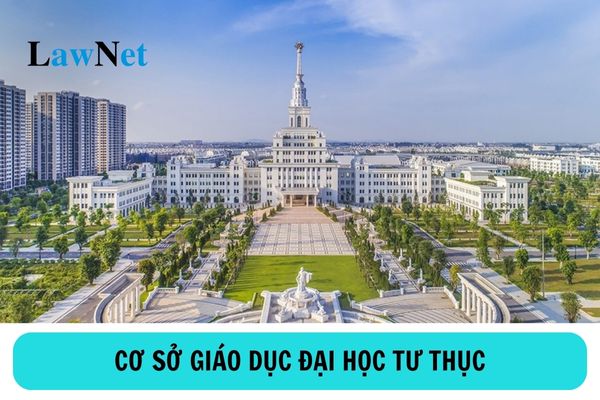 Cơ sở giáo dục đại học tư thục do ai đầu tư?