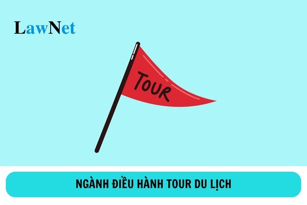 Học cao đẳng ngành điều hành tour du lịch ra làm gì?